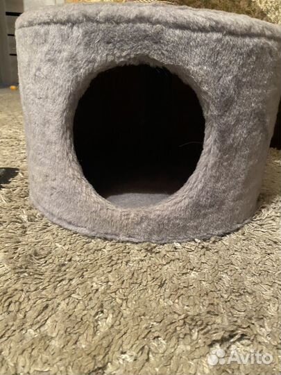 Когтеточка