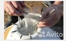 Уход за животными