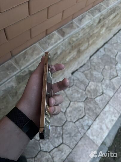 iPhone 12 Pro Max, 256 ГБ