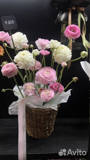 Цветы Ранункулюсы