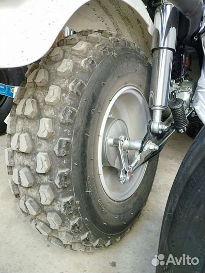 Skyteam T-Rex 125