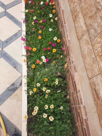 Дом 70 м² на участке 4 сот.