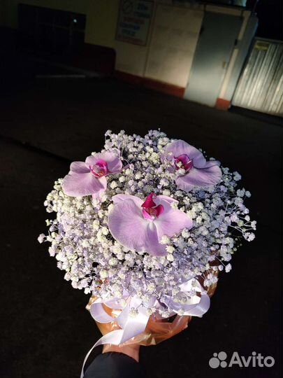 Гипсофила доставка цветов и букетов