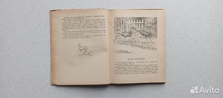 В беловежской пуще.1949 (г.скребицкий)