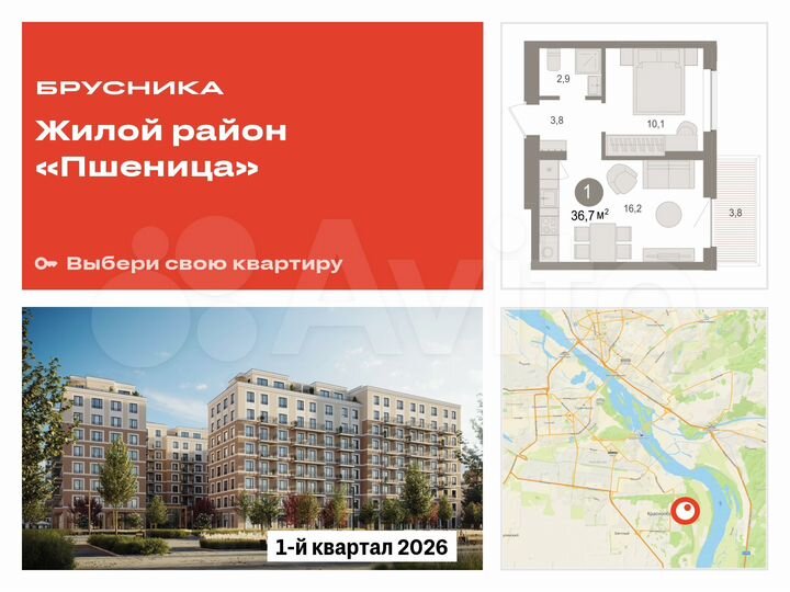 1-к. квартира, 36,7 м², 4/17 эт.