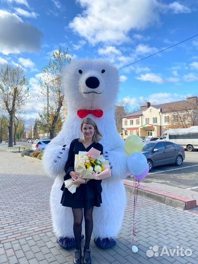 Поздравление от белого Мишки