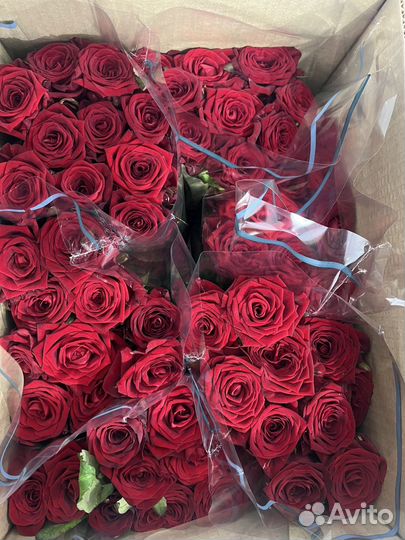 Цветы оптом в г. Елец