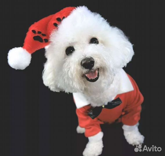 Белоснежные ангелочки- антидепрессанты