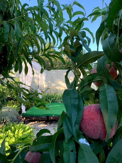 Комната 15 м² в > 9-к., 2/2 эт.