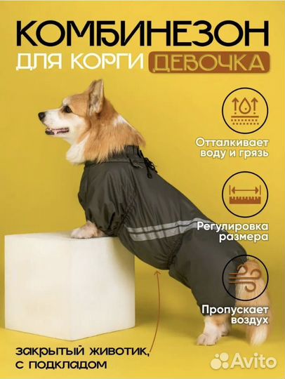 Комбинезон для корги