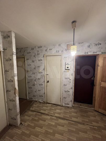 2-к. квартира, 49,5 м², 1/5 эт.