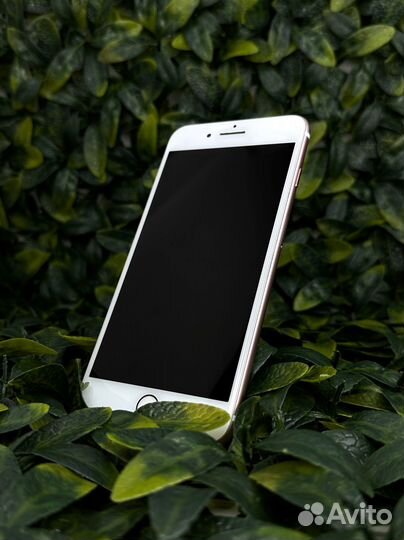 iPhone 7 Plus, 128 ГБ