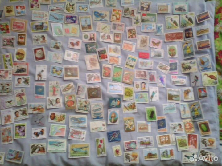 Коллекция марок)