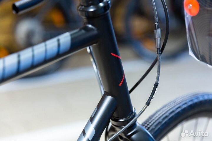 Новые Author Ronin 2023