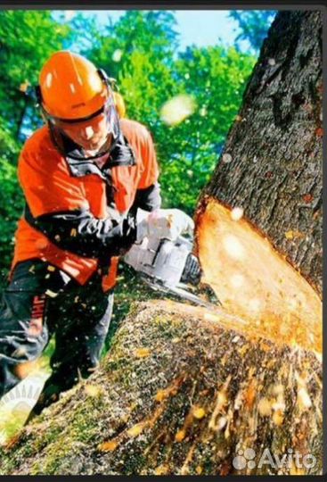 Спилить дерево