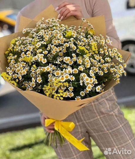 Ромашки букет