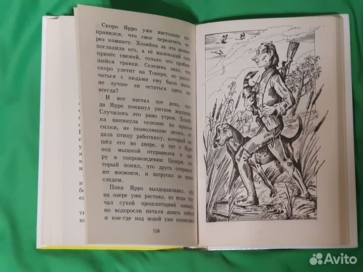 Новая книга Путишествие Нильса с гусями