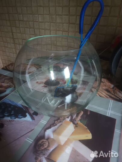 Аквариум 10 л