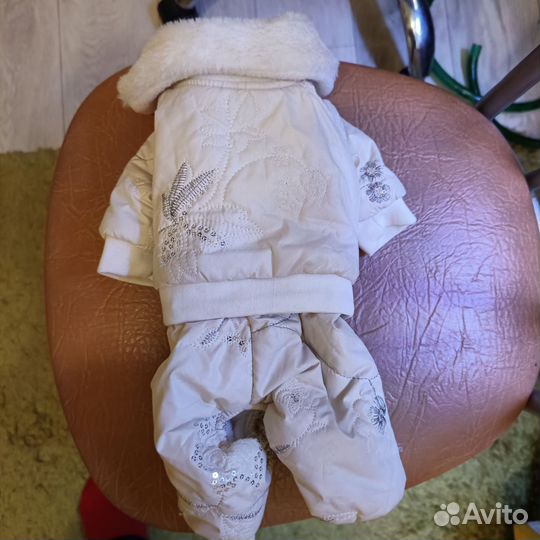 Зимний комбинезон для тойчика