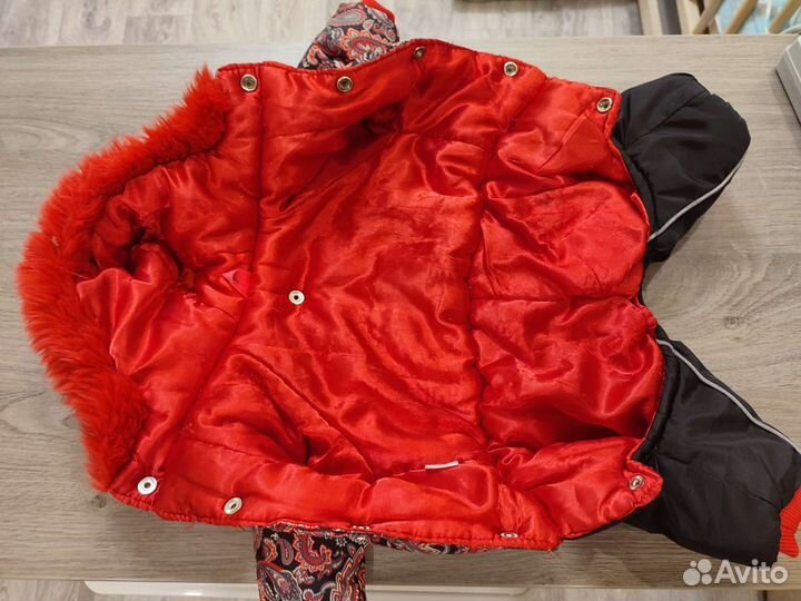 Комбинезон на собачку