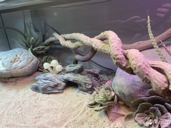 Террариум Hagen Exo-terra 90x45x30