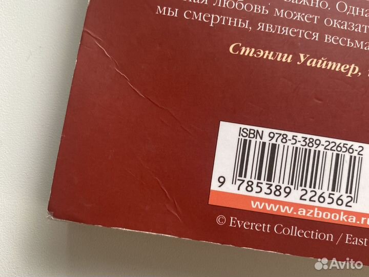 Куда приводят мечты