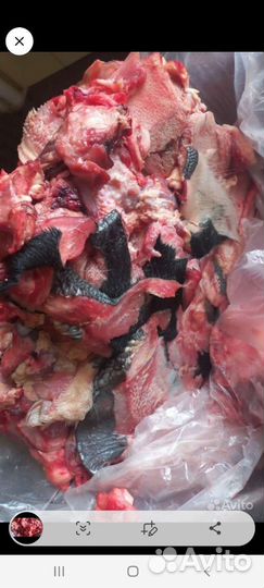 Мясо, обрезь, говядина корм для животных