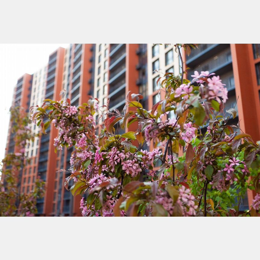 2-к. квартира, 62 м², 18/18 эт.
