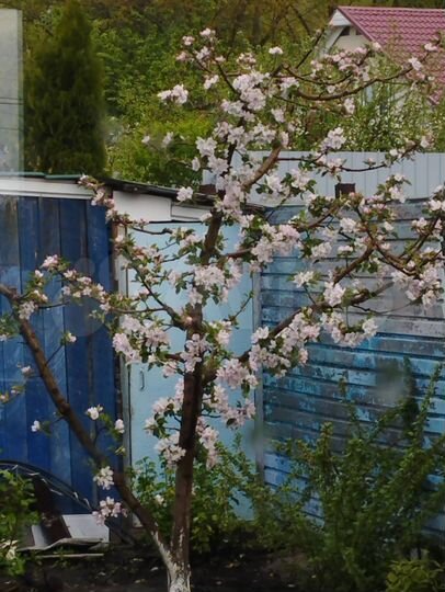 Дом 84 м² на участке 5 сот.