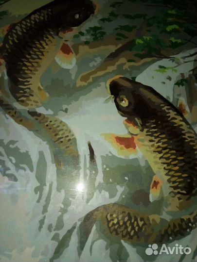 Прыгающие карпы картина