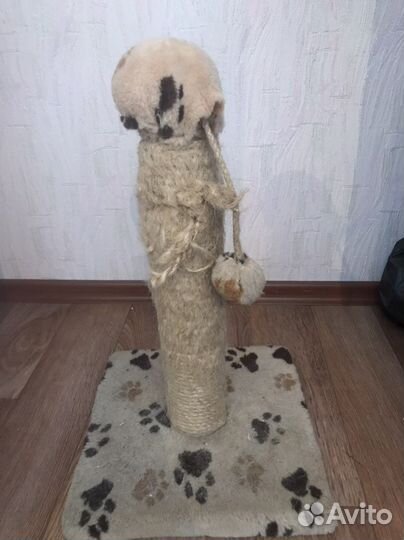 Когтеточка