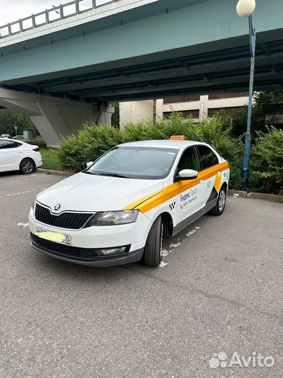 Skoda Rapid в аренду