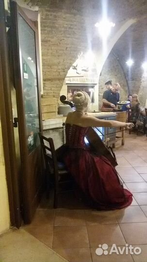 Музыкант Артист Выступление Виолончель