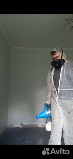 Дезинфекция дезинсекция клещей тараканов клопов