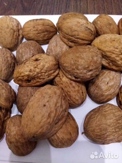 Природные материалы для поделок разные шишки