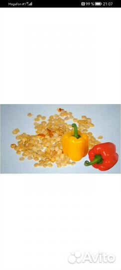 Томаты, перцы, баклажаны, петунии