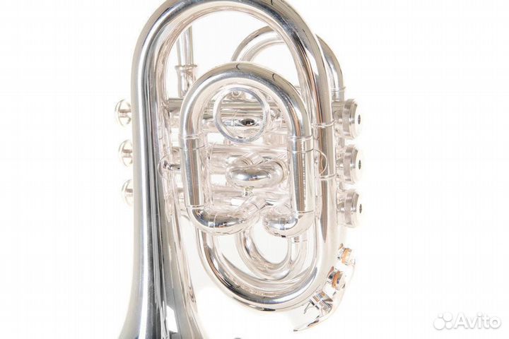 Карманная труба Roy Benson Pocket PT-101S