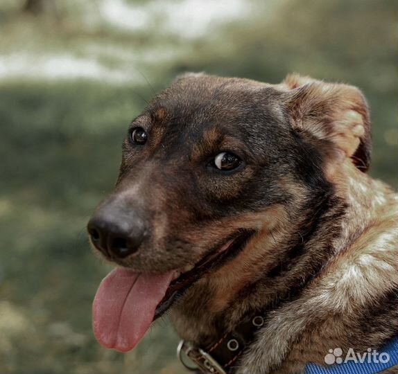 Лоре нельзя жить в приюте, ей очень нужен дом