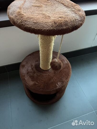 Когтеточка с домиком