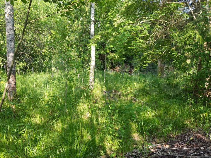 Участок 6 сот. (СНТ, ДНП)