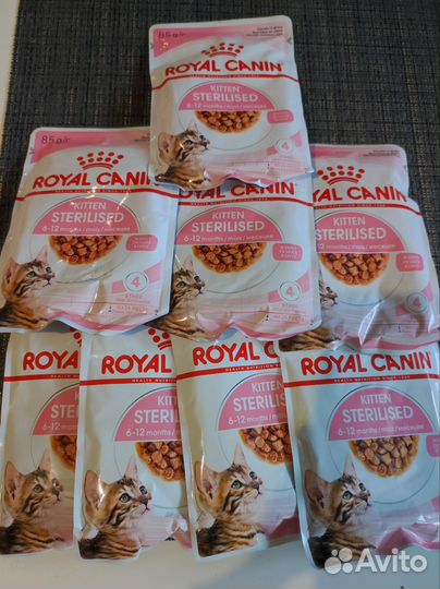 Влажный корм для кошек royal canin sterilised