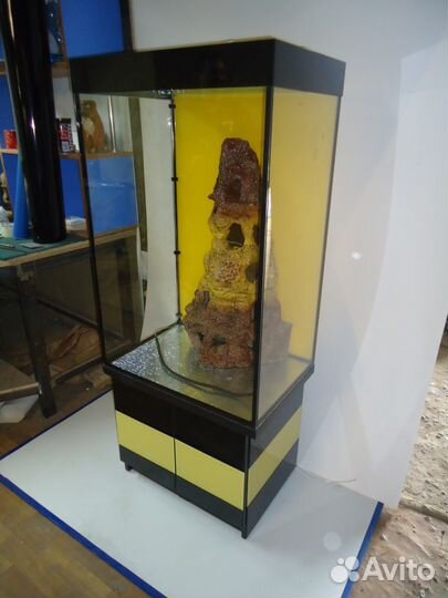 Аквариумы и террариумы в наличии и на заказ