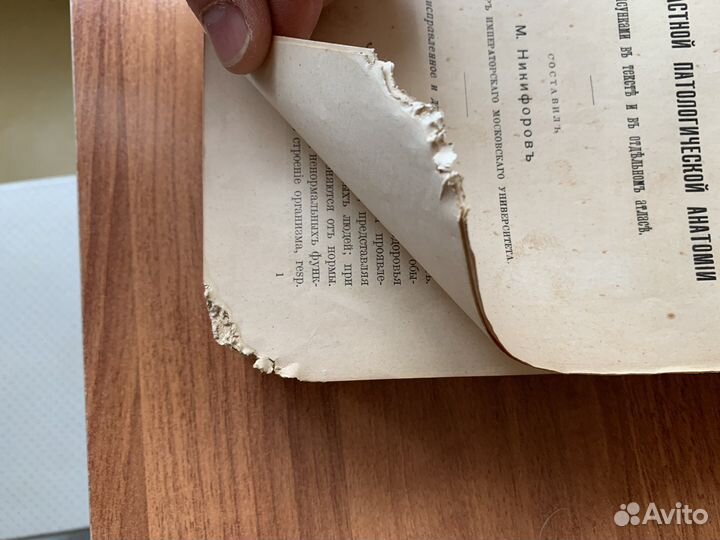 Основы патологической анатомии Никифоров