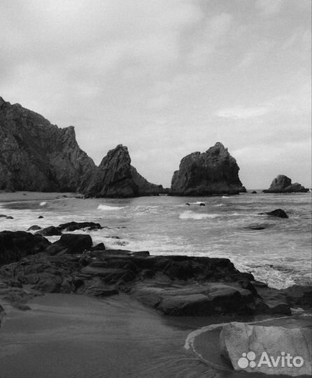 Картина черно белый цвет, фото, студийная рама