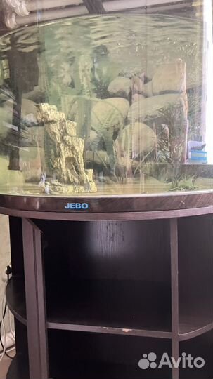 Аквариум jebo полукруглый с тумбой