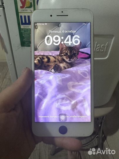 iPhone 8 Plus, 64 ГБ