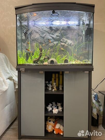 Аквариум с тумбой tetra