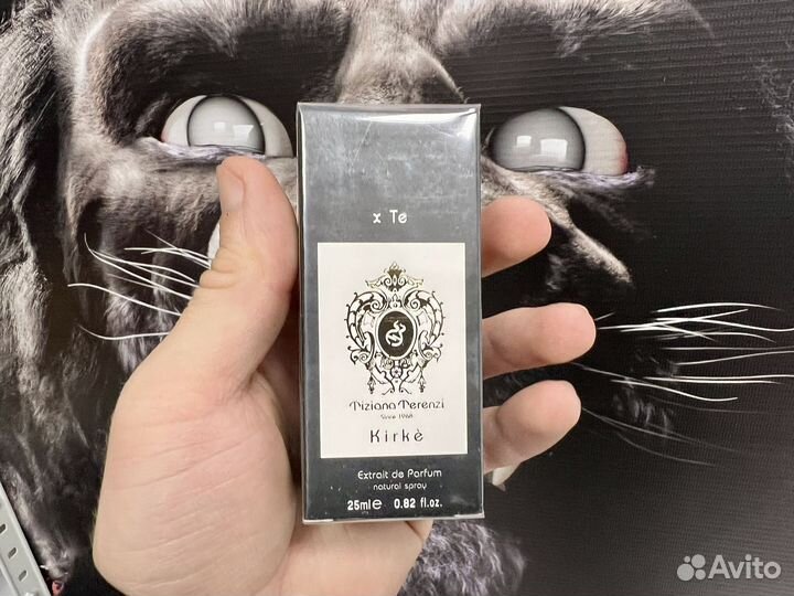 Kirke tiziana terenzi