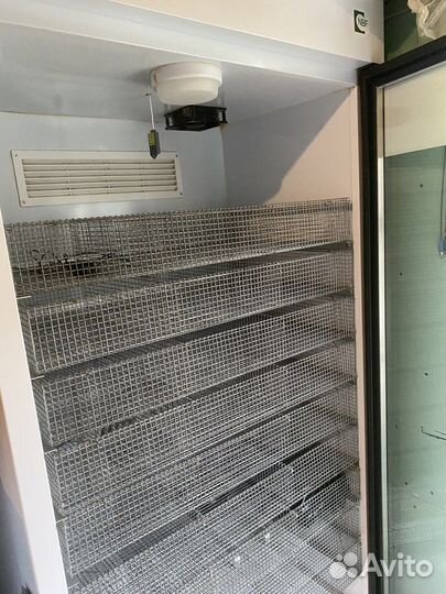 Инкубатор выводной NBF-1000B