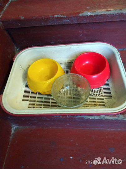 Лоток и мисочки для кошек